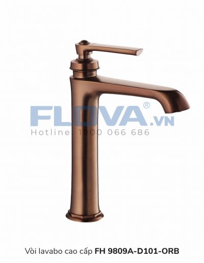 Vòi Lavabo FH 9809A-D101-ORB