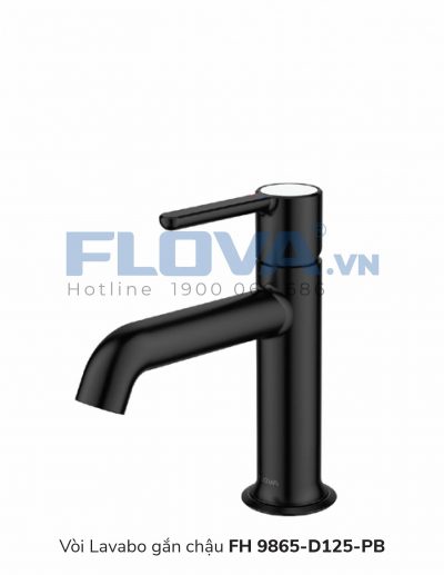 Vòi Lavabo FH 9865-D125-PB