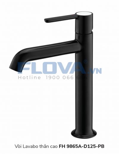 Vòi Lavabo FH 9865A-D125-PB