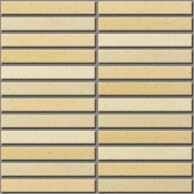 1525 EAC-EARTH COLOR BORDER