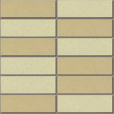 355 EAC-EARTH COLOR BORDER