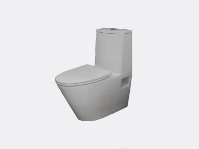 Bồn cầu Clara CTM-102WS