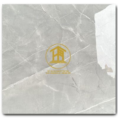 Gạch Ấn Độ 100x100cm Royal Armeni Grey