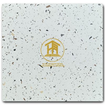 Gạch Ấn BA Terrazzo White