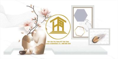 Gạch Viglacera Cửu Long 30x60cm CL-CE3618A