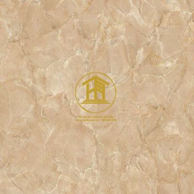 Gạch Viglacera Cửu Long 50x50cm CL-CE507