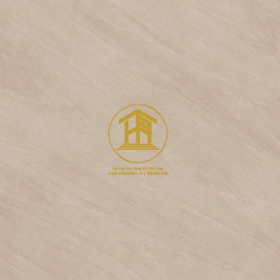 Gạch Viglacera Cửu Long 60x60cm CL-SM602