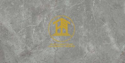Gạch Viglacera Cửu Long 30x60cm CL364