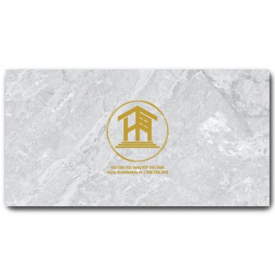 Gạch Viglacera 30x60cm ECO3636