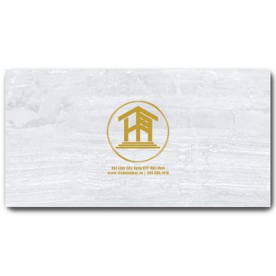 Gạch Viglacera 30x60cm ECO3637