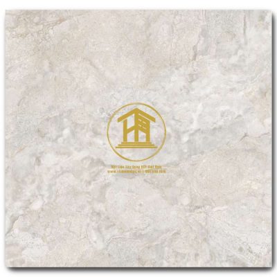 Gạch Viglacera 80x80cm ECO832