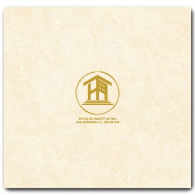 Gạch Viglacera 60x60cm ECOM621