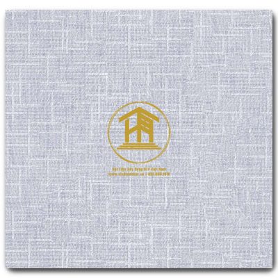 Gạch Viglacera 30x30cm N3005