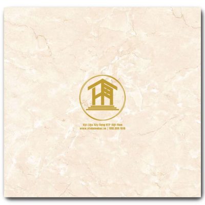 Gạch Viglacera 30x30cm PR3004