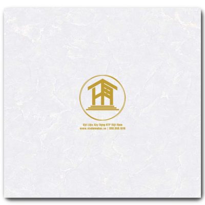 Gạch Viglacera 60x60cm TB6506
