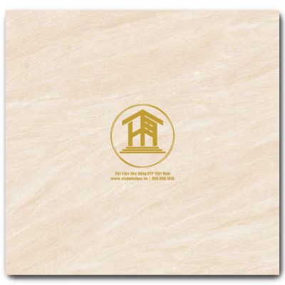 Gạch Viglacera 60x60cm TB6661