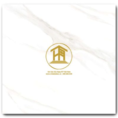 Gạch Viglacera 60x60cm VIG-GP663014