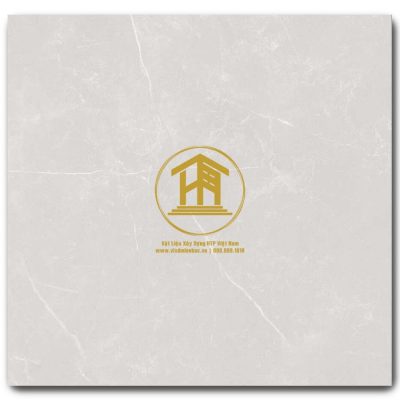 Gạch Viglacera 60x60cm VIG-GP663017