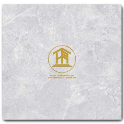 Gạch Viglacera 60x60cm VIG-GP663020