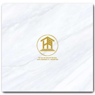 Gạch Viglacera 60x60cm VV-GP6601