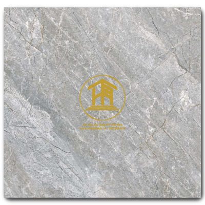 Gạch Viglacera 60x60cm VV-GP6603