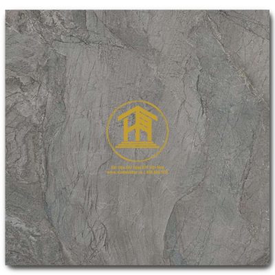 Gạch Viglacera 60x60cm VV-GP6604