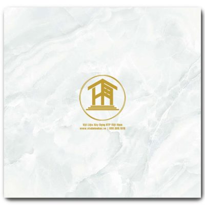 Gạch Viglacera 60x60cm VV-GP6605