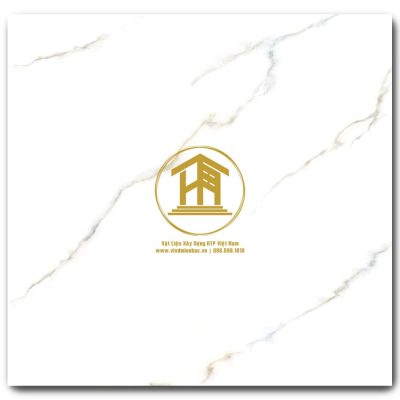 Gạch Viglacera 60x60cm VV-GP6606