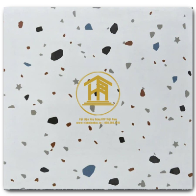 Gạch Terrazzo DS 60x60cm DS-66C01