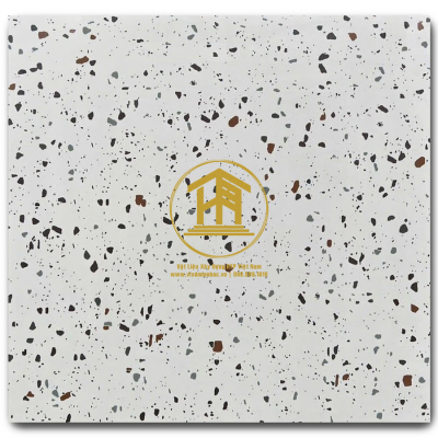 Gạch Terrazzo DS 60x60cm DS-67026