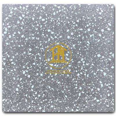 Gạch Terrazzo DS 80x80cm DS-M8102