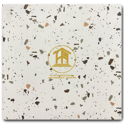 Gạch Terrazzo DS 80x80cm DS-M8132