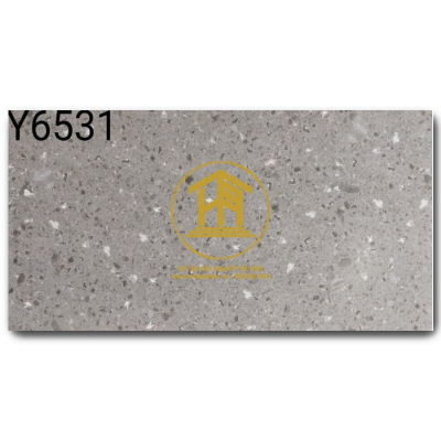 Gạch Terrazzo DS 30x60cm DS-Y6531