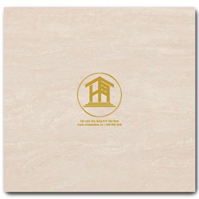 Gạch Viglacera 60x60cm ECOM6910