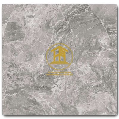 Gạch Viglacera 60x60cm ECOM6913