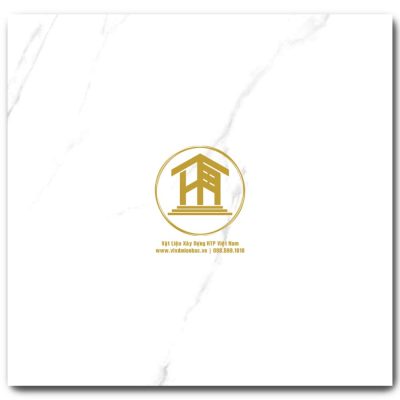 Gạch Viglacera 60x60cm ECOS601