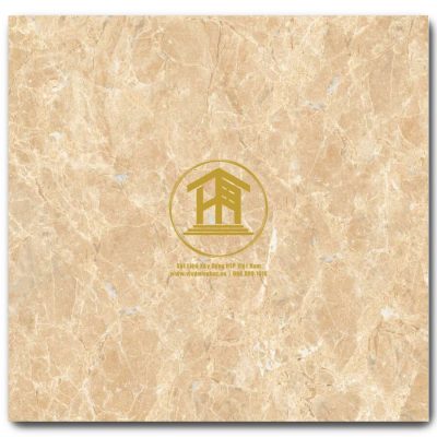Gạch Viglacera 60x60cm ECOS603
