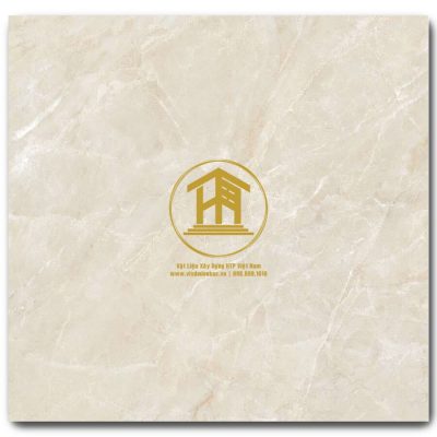 Gạch Viglacera 60x60cm ECOS622