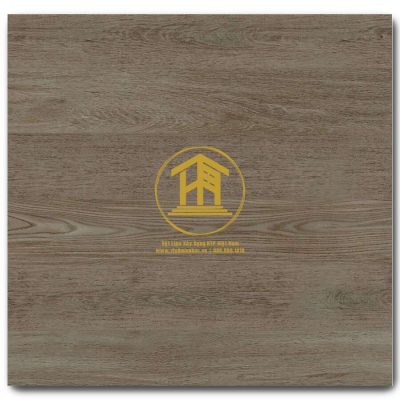Gạch Viglacera 60x60cm G6001