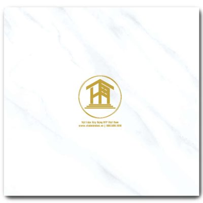 Gạch Viglacera 60x60cm KHP-GP6801