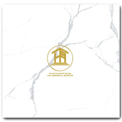 Gạch Viglacera 60x60cm KHP-GP6802
