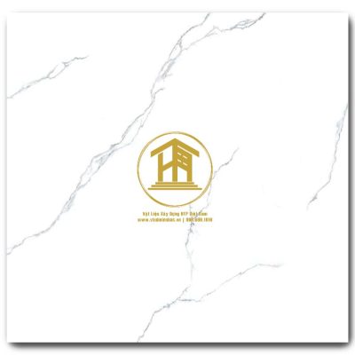 Gạch Viglacera 60x60cm KHP-GP6901