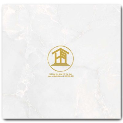 Gạch Viglacera 60x60cm KV-GP6612
