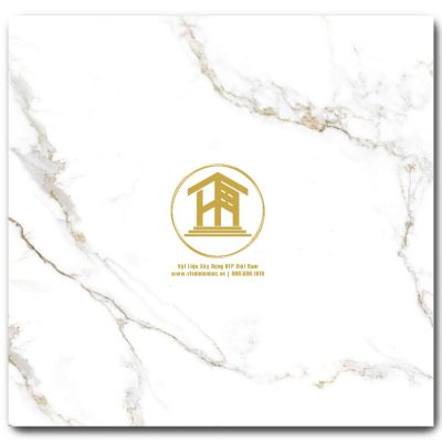 Gạch Viglacera 60x60cm KV-GP6614