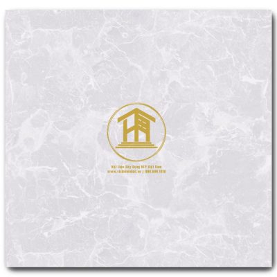 Gạch Viglacera 60x60cm M6002