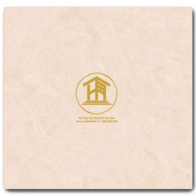 Gạch Viglacera 60x60cm M6003
