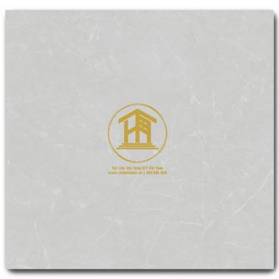 Gạch Viglacera 60x60cm M6005