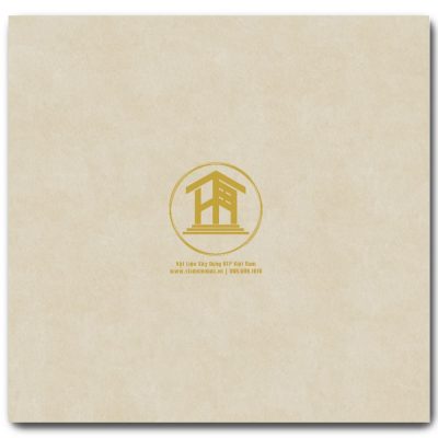 Gạch Viglacera 60x60cm MQ6002