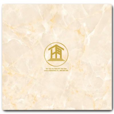 Gạch Viglacera 60x60cm TB601