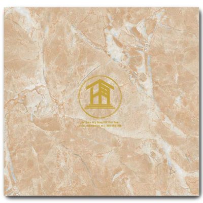 Gạch Viglacera 60x60cm TB602